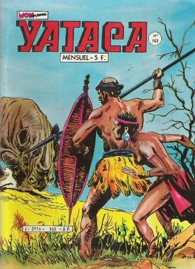 Cover of Les fils du lion