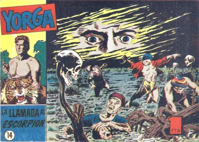 Cover of Issue #14