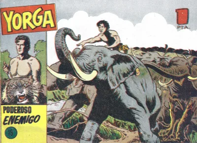 Cover of Issue #15