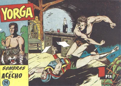 Cover of Issue #24