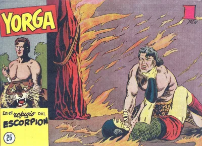 Cover of Issue #25