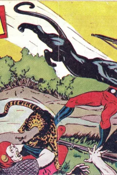Issue #27