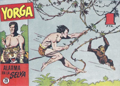 Cover of Issue #29
