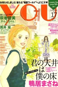 Issue #200817