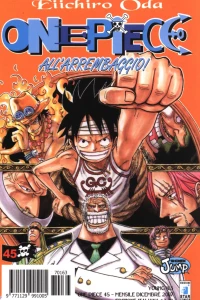 One piece 45