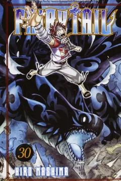 Fairy tail 30