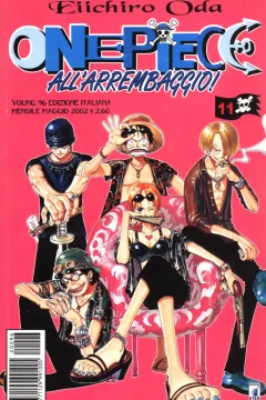 One piece 11