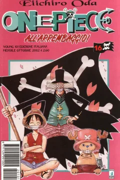 One piece 16
