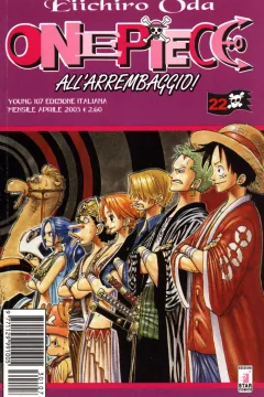 One piece 22