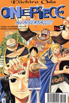 One piece 24
