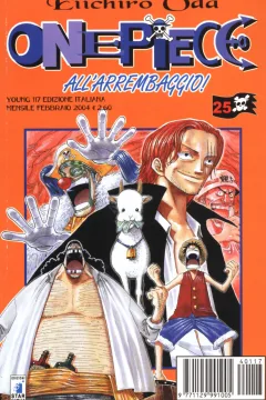 One piece 25