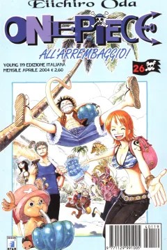 One piece 26