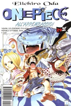One piece 29