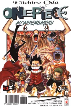 One piece 43