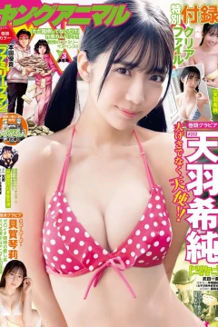 Issue #202403