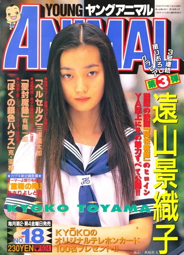 Cover of Issue #199318