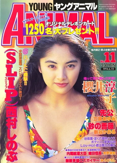 Cover of Issue #199411