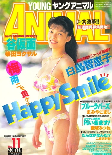 Cover of Issue #199511
