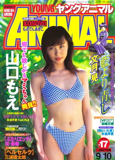 Cover of Issue #199917
