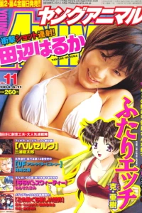 Issue #200411