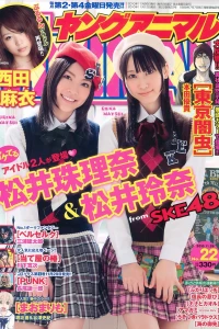 Issue #201022