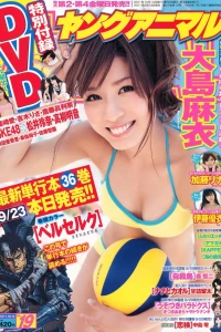 Issue #201119