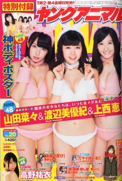 Cover of Issue #201320