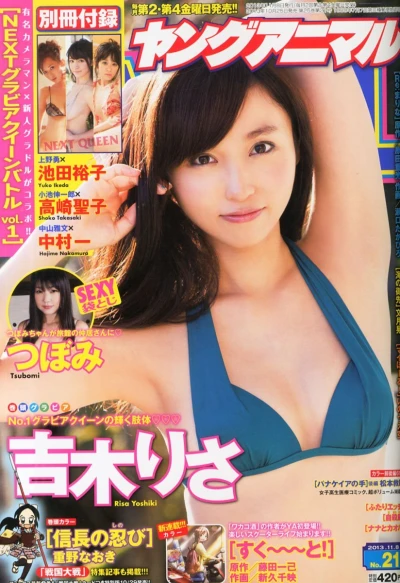 Cover of Issue #201321