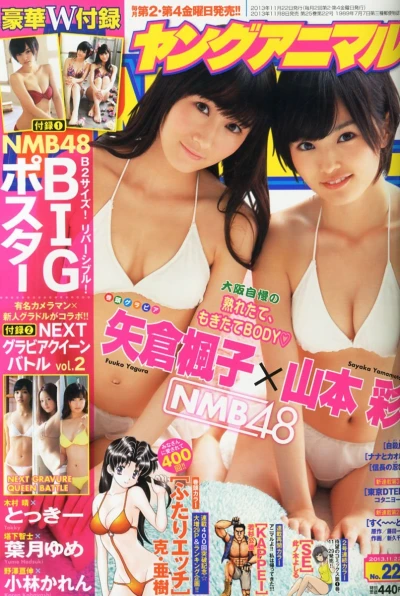 Cover of Issue #201322