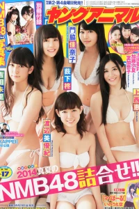 Issue #201417