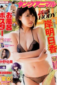 Issue #201506