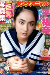 Issue #201518