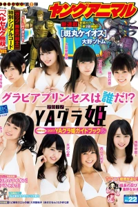 Issue #201622