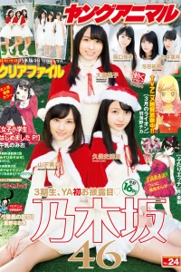Issue #201624