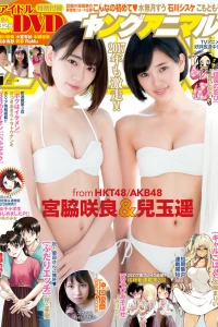 Issue #201701