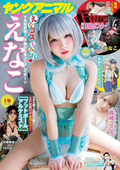 Cover of Issue #202011-12