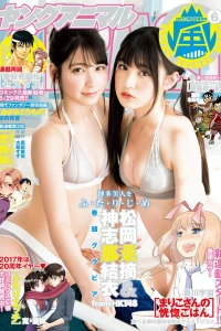 Issue #201706