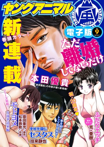 Cover of Volume #201709