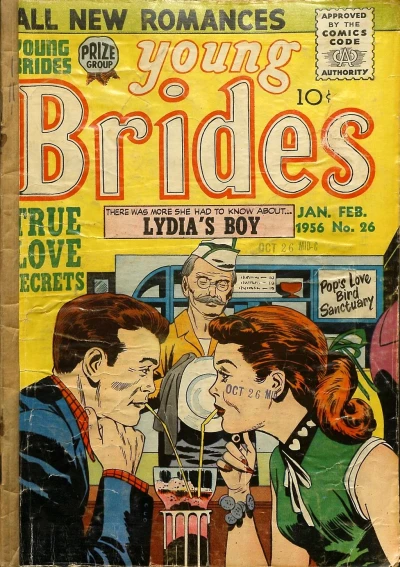 Cover of Lydia's Boy
