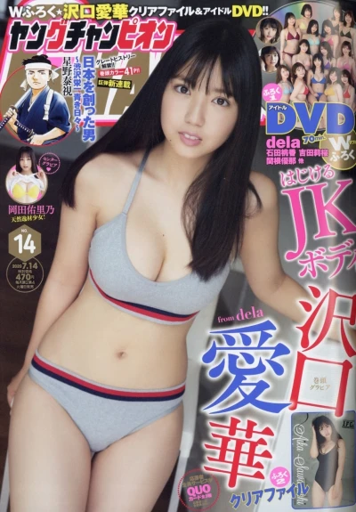 Cover of No. 14, 2020