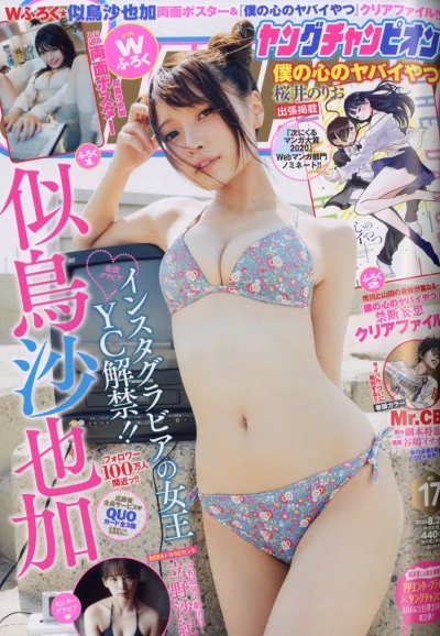 Cover of No. 17, 2020