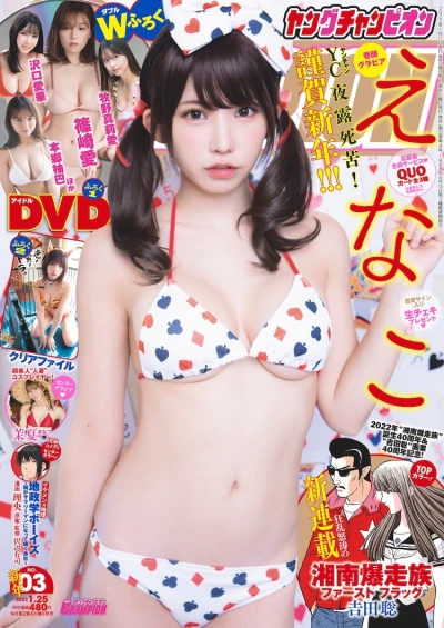 Cover of No. 3, 2022