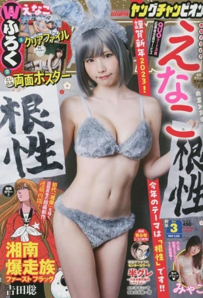 Cover of No. 3, 2023