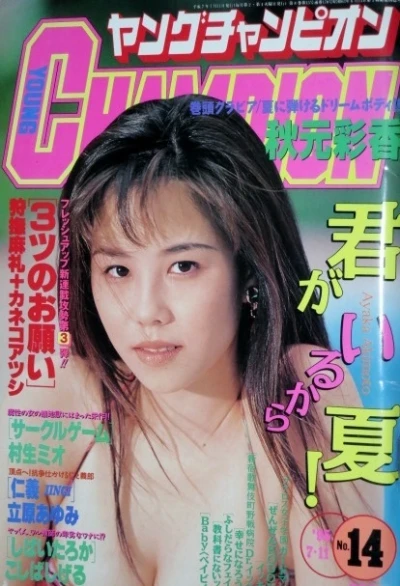 Cover of No. 14, 1995