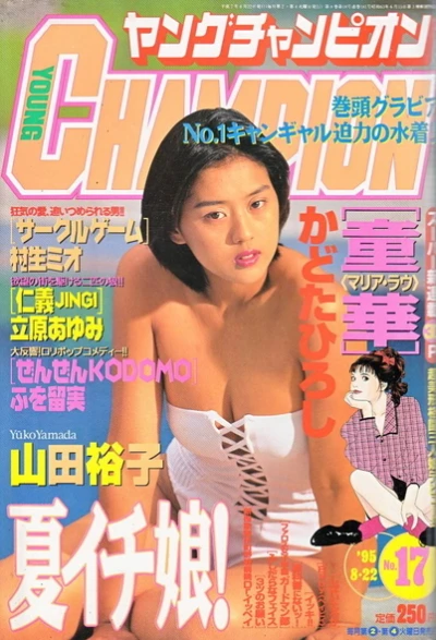Cover of No. 17, 1995
