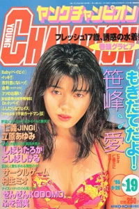 No. 19, 1995