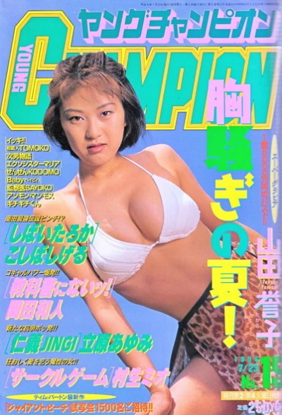 Cover of No. 15, 1996