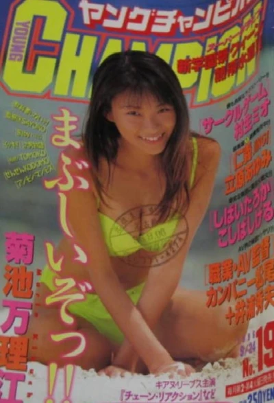 Cover of No. 19, 1996
