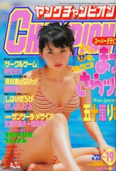 Cover of No. 19, 1997