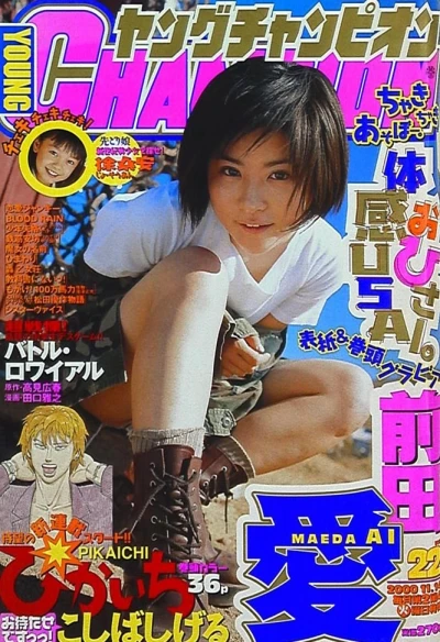 Cover of No. 22, 2000